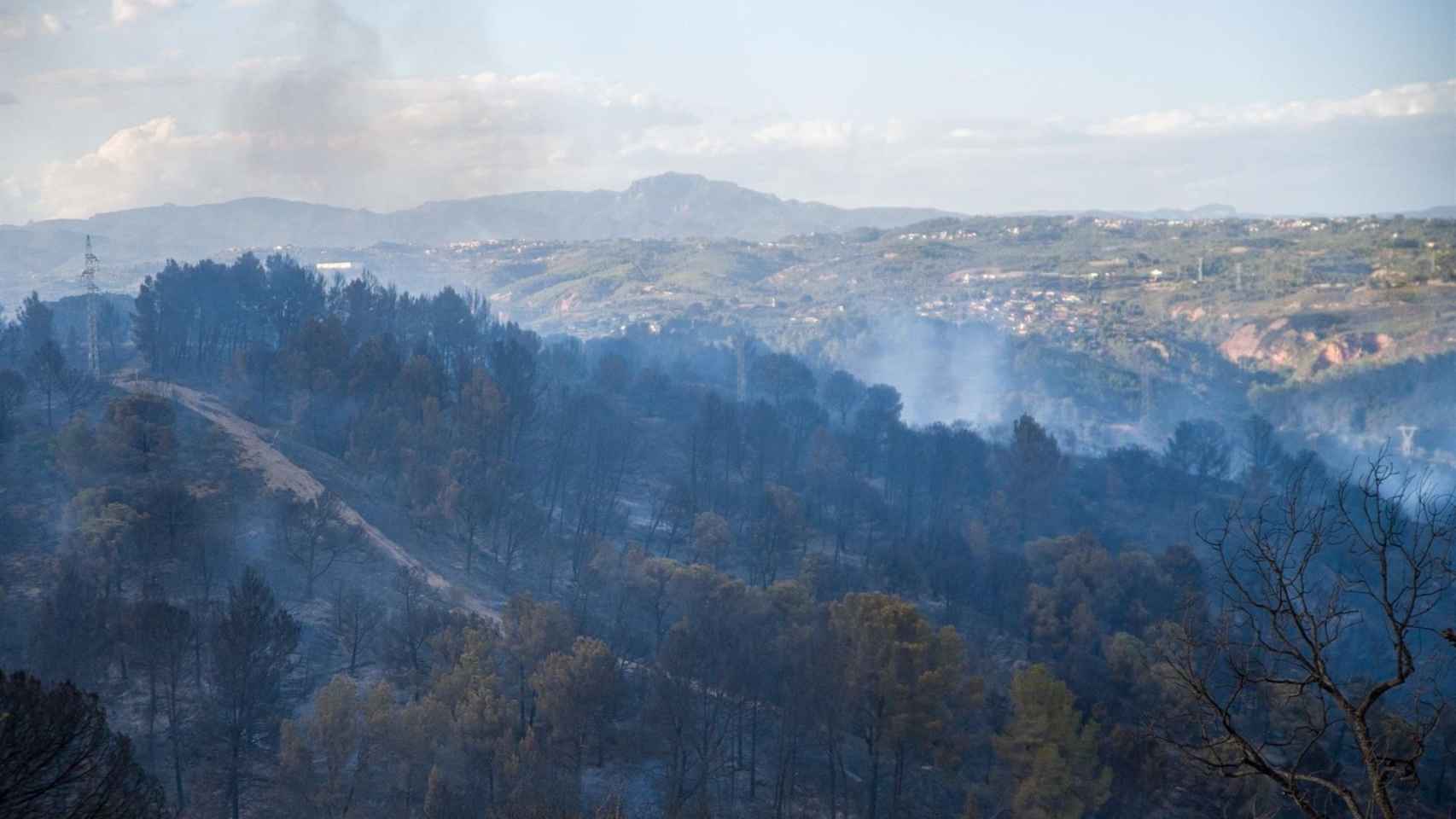 Zona afectada por el incendio en los municipios de Castellví de Rosanes y Martorell (Barcelona) / EUROPA PRESS - Lorena Sopena