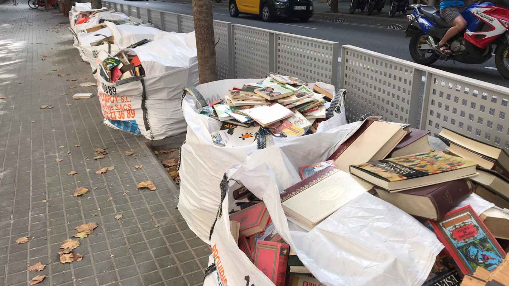 Sacos de escombros con libros delante de una escuela del Eixample / CEDIDA