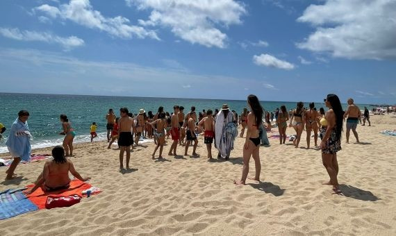 Los bañistas de la playa de Cabrera, pendientes del rescate del delfín / METRÓPOLI