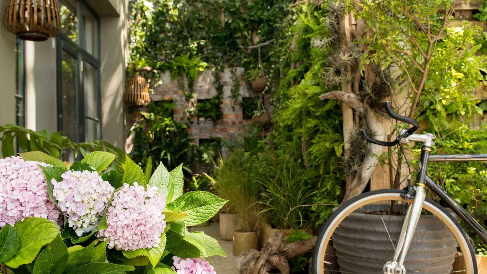 Un jardín exterior con plantas libres de insectos / COMPO