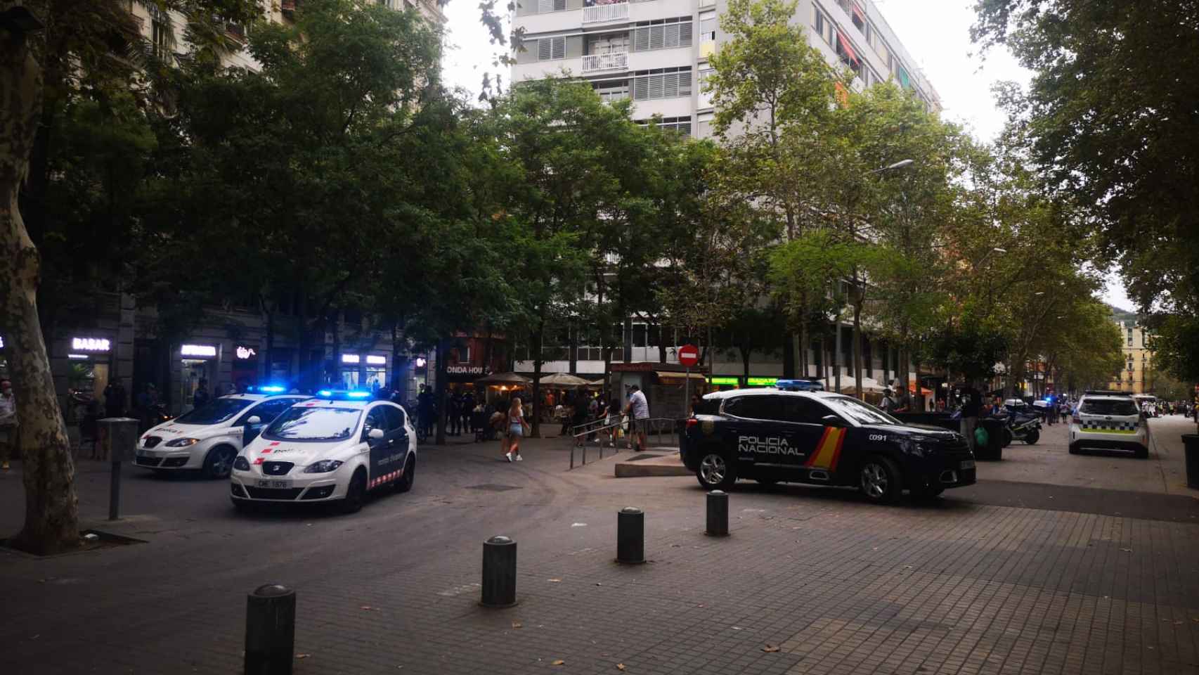 Vehículos policiales este miércoles en la plaza Pes de la Palla del Raval / GUILLEM ANDRÉS
