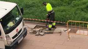 Un operario trabaja en la reparación del suelo de los jardines Josep Maria Sostres / METRÓPOLI