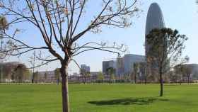 Zona verde de Barcelona en una imagen de archivo / AYUNTAMIENTO DE BARCELONA