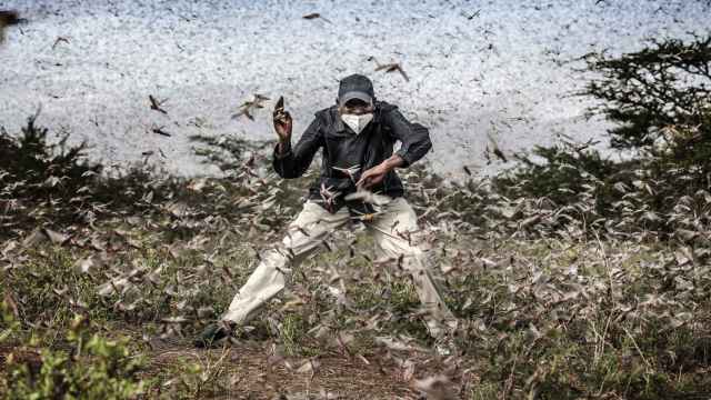 Luis Tato, español residente en Kenia, que ha ganado el tercer premio en la categoría de Naturaleza / WORLD PRESS PHOTO