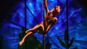 Imagen de archivo de una artista durante un espectáculo anterior del Cirque Du Soleil / CIRQUE DU SOLEIL