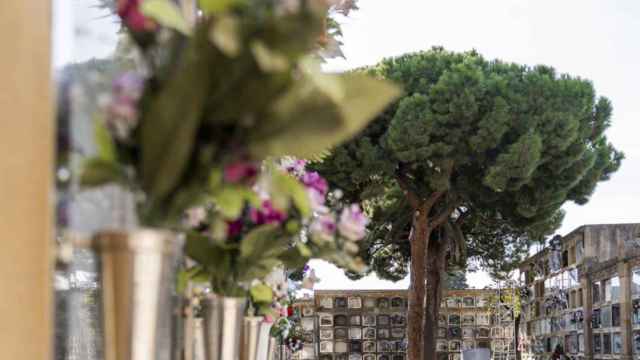 Horarios ampliados en los cementerios de Barcelona por Todos los Santos / AYUNTAMIENTO DE BARCELONA