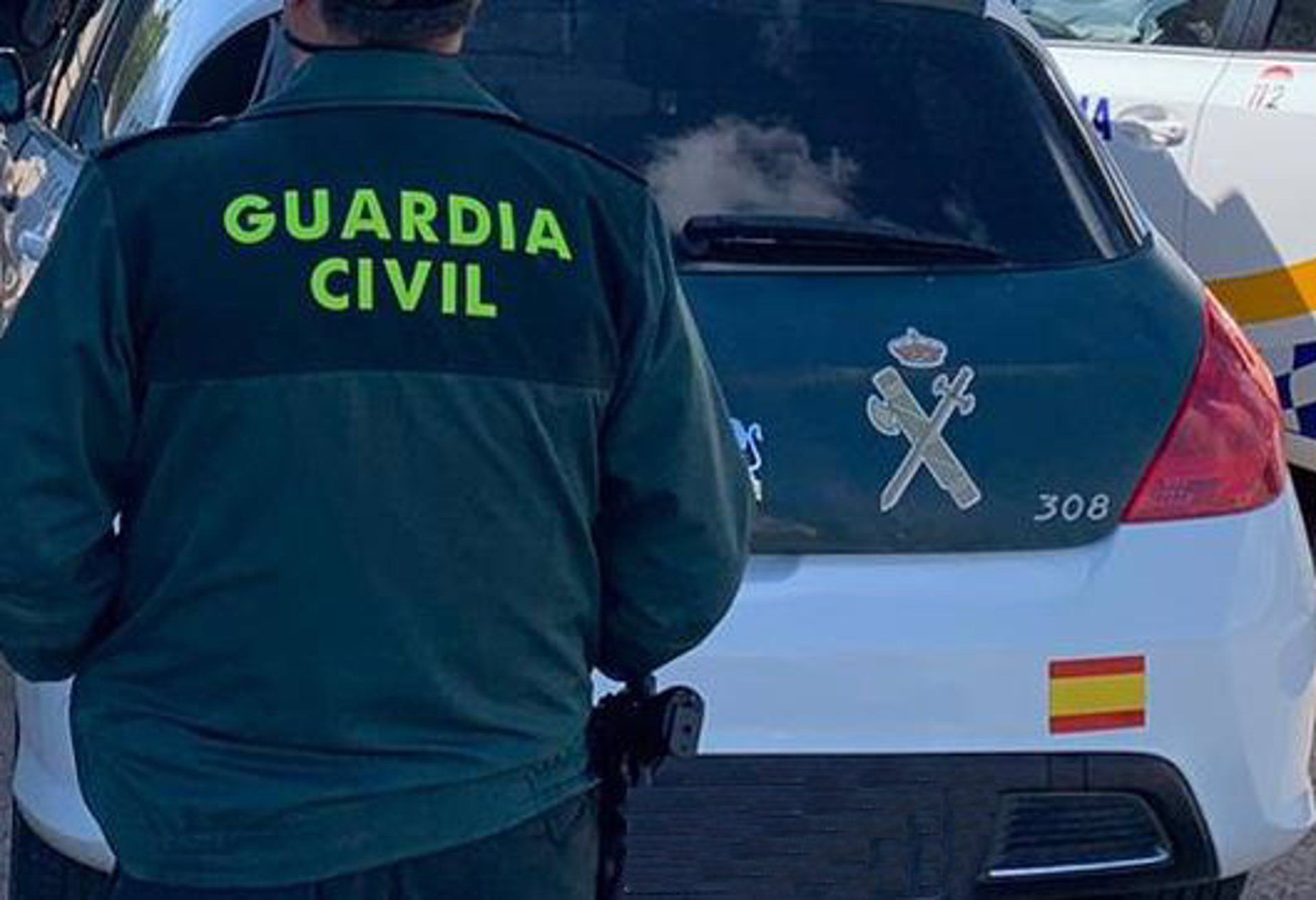 Un agente de la Guardia Civil de espaldas y junto a un vehículo oficial del cuerpo - GUARDIA CIVIL