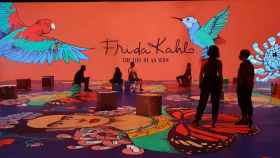 Exposición inmersiva de Frida Kahlo que se inaugura en noviembre / IDEAL