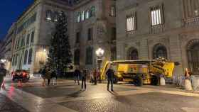La plaza de Sant Jaume, con el árbol de Navidad pero sin el pesebre, este jueves / METRÓPOLI