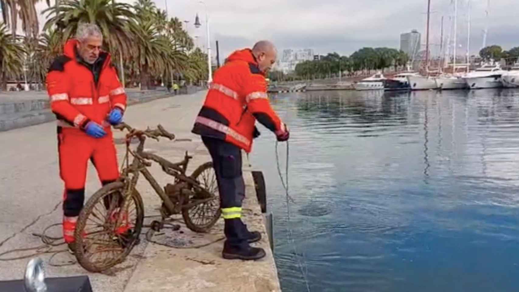Trabajadores extraen una bicicleta del fondo marino de Barcelona / PORT DE BARCELONA