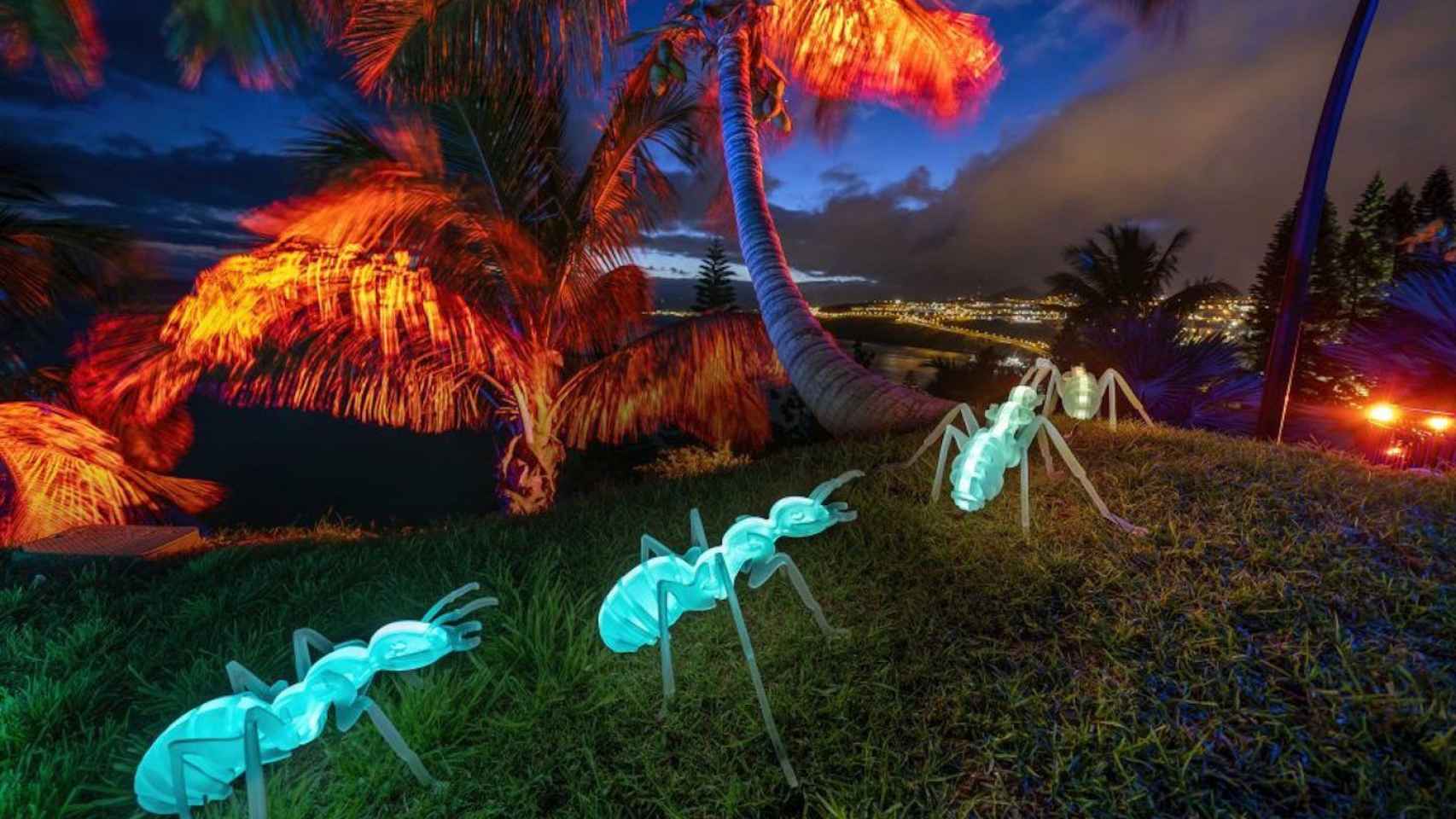 Hormigas iluminadas en 'Natura Encesa', la experiencia lumínica de los Jardines de Pedralbes / GRUP BALAÑÁ