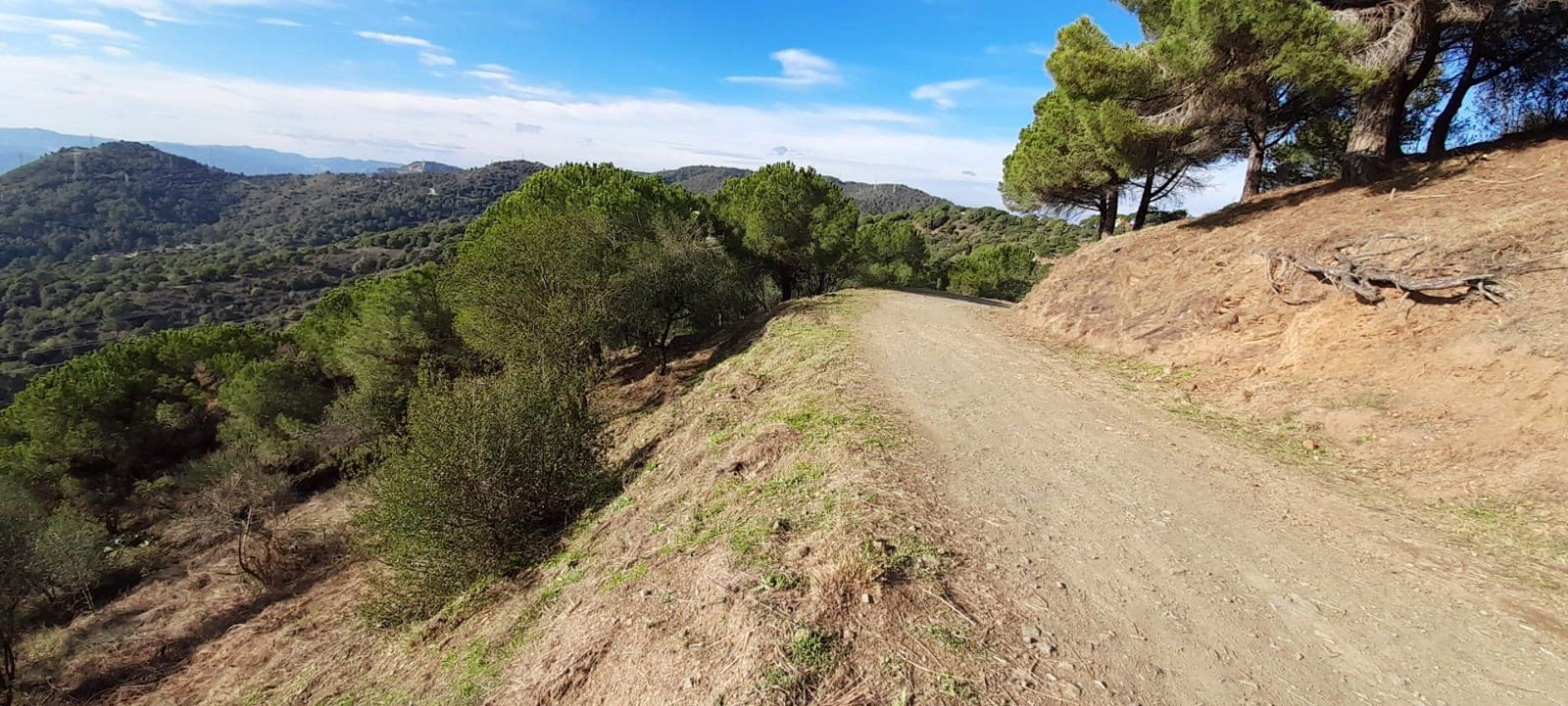 Parque Natural de la Sierra de Collserola, donde se ubicará el nuevo corredor ciclista / AMB