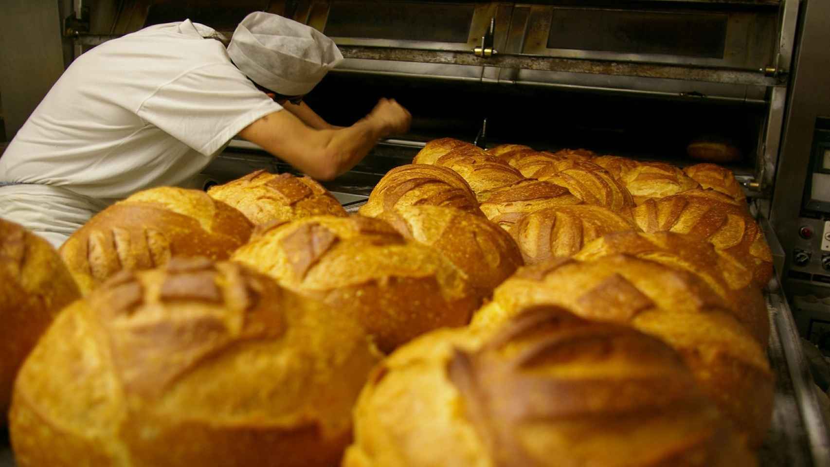 Un panadero hornea pan artesano en Barcelona / ARCHIVO