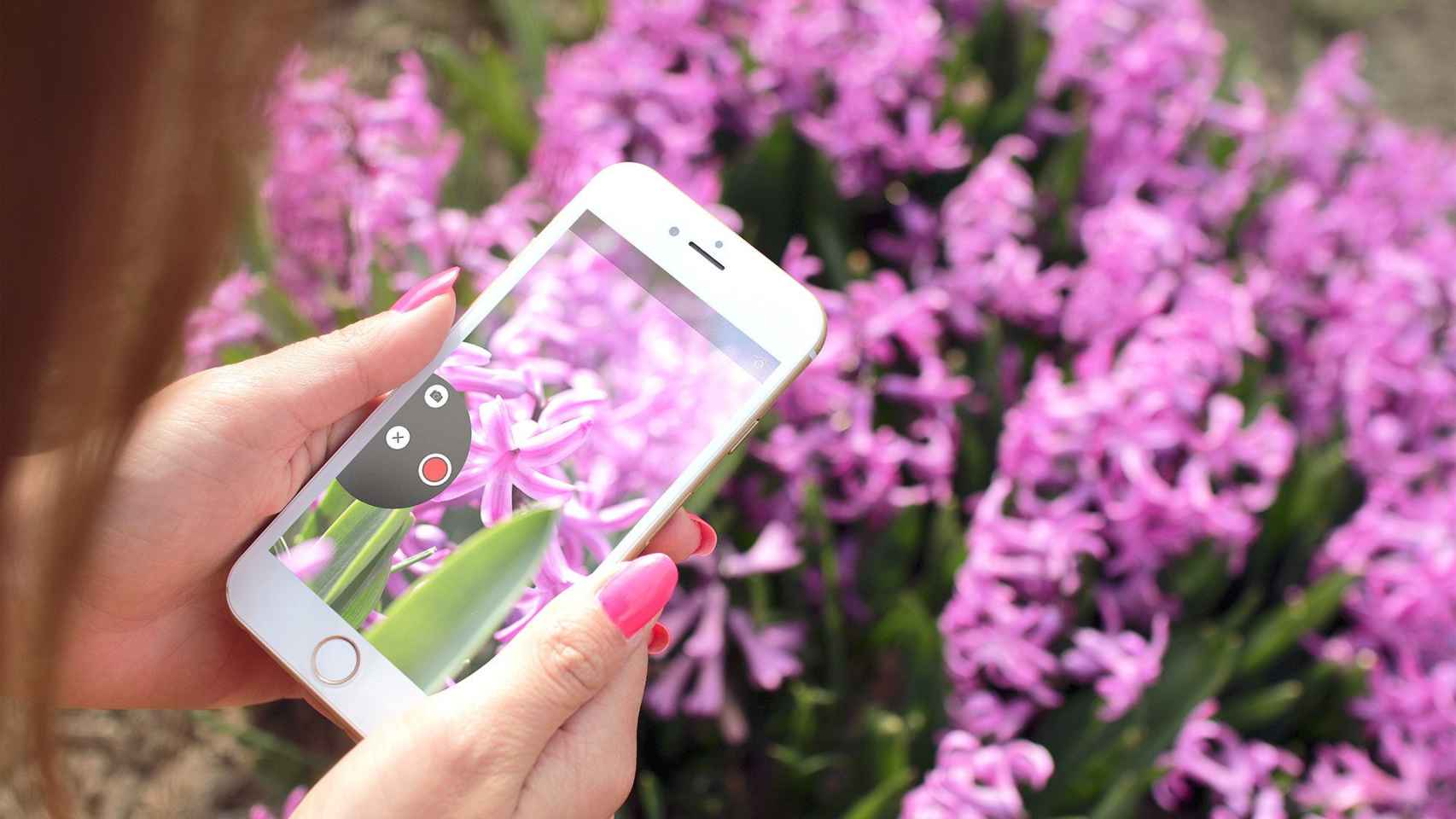 Una mujer fotografía plantas con su teléfono móvil como una de las 'plantfluencers' de moda / PXHERE