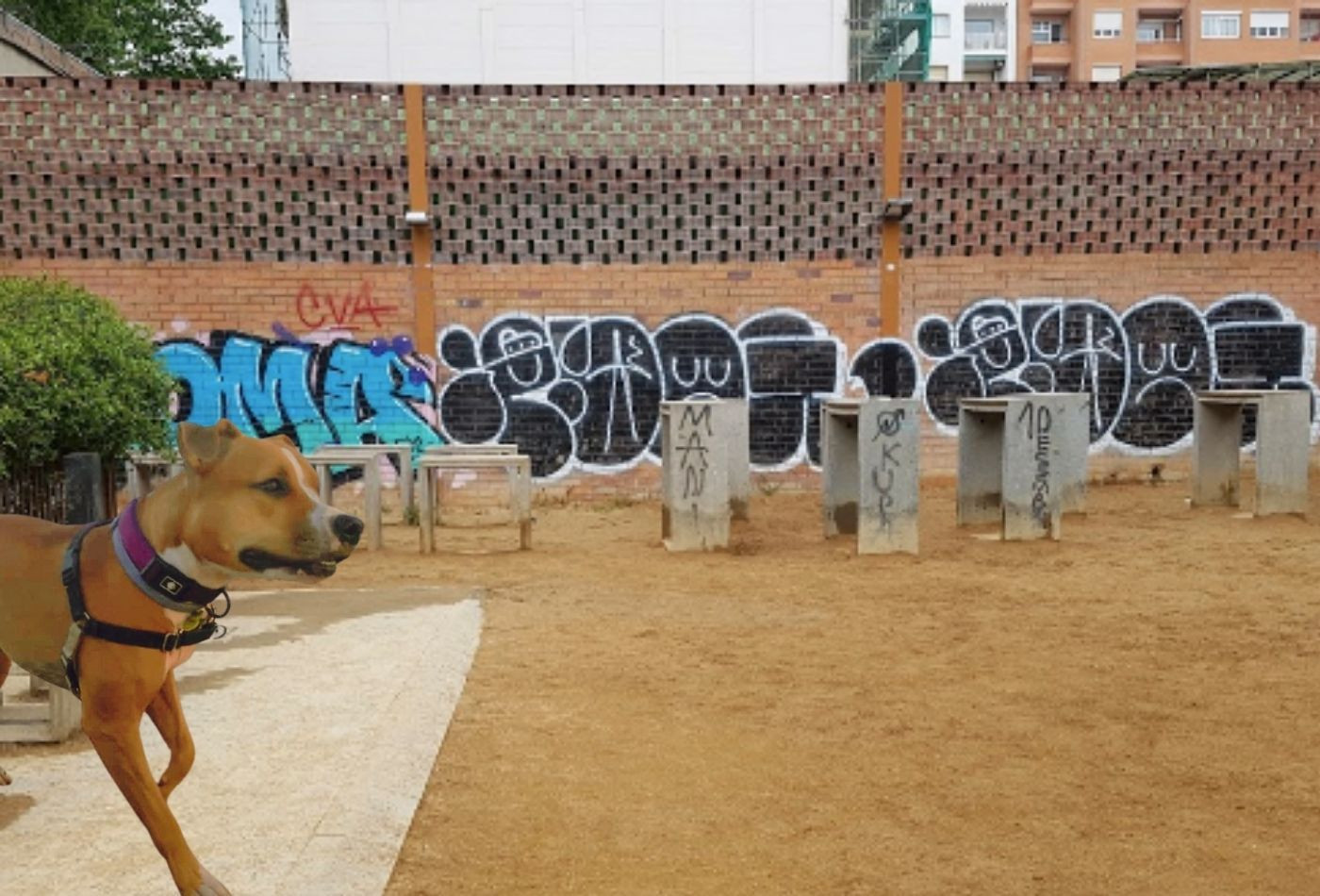 Fotomontaje de un perro frente a un pipicán en mal estado en Barcelona / METRÓPOLI
