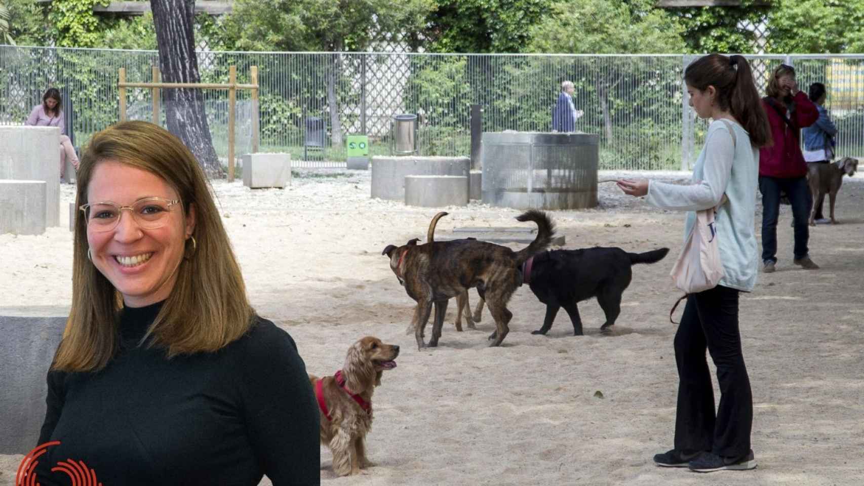 Janet Sanz, una de las culpables del incumplimiento del programa animalista de los comunes, en un fotomontaje con un pipicán / METRÓPOLI