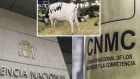 La fijación de precios de la Audiencia Nacional pone en riesgo las reclamaciones del 'caso leche'
