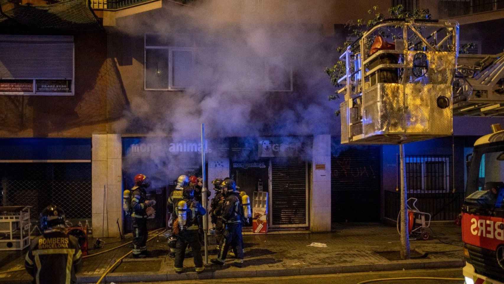 Los bomberos intervienen en el incendio de Món Animal, en la Bordeta / EUROPA PRESS