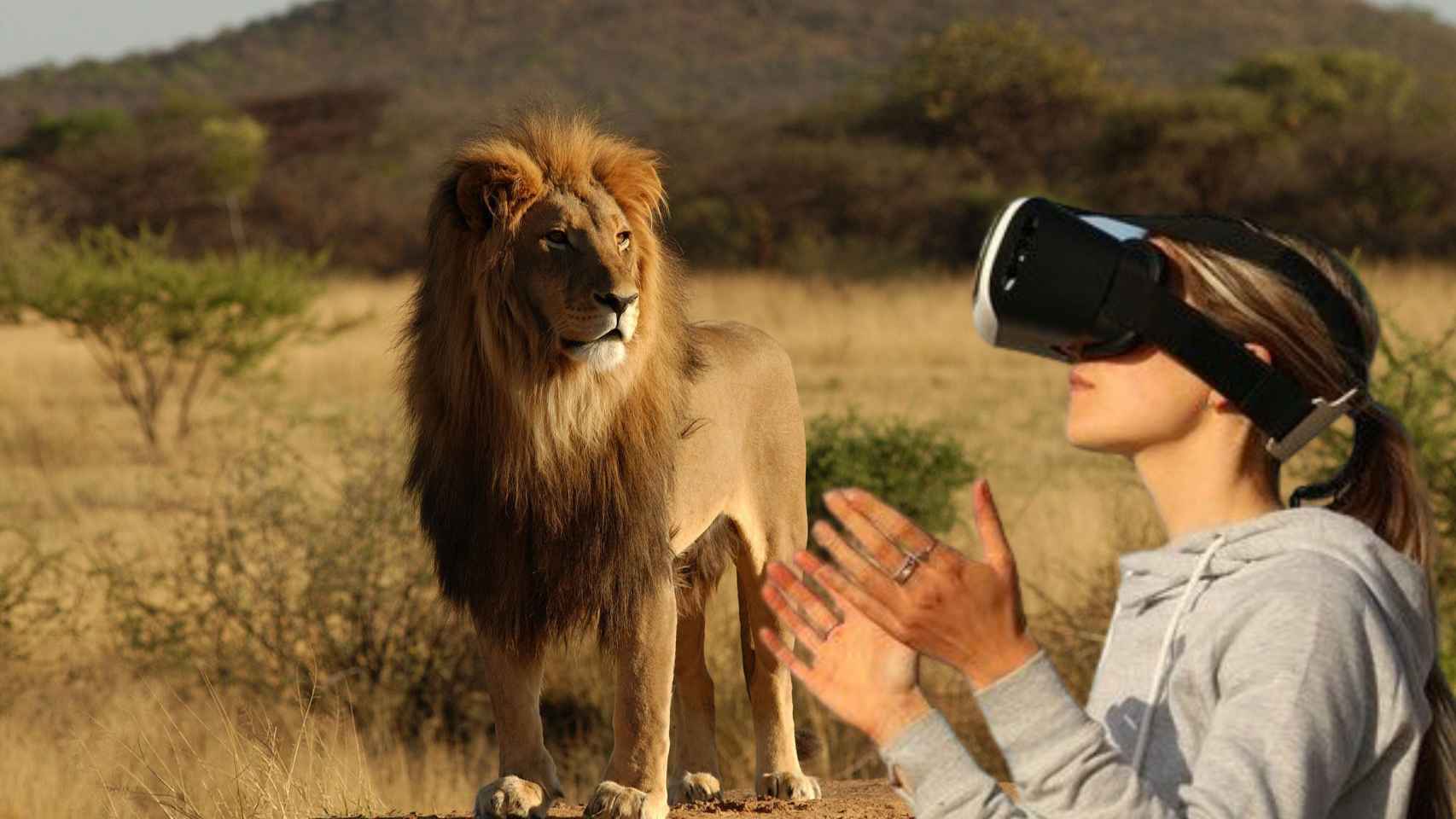 Una mujer contemplando a un león en realidad aumentada como los que se podrán ver en el primer parque temático de Europa / BMAGAZINE