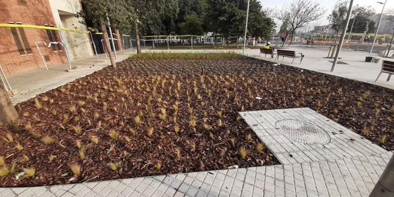 Nuevos elementos de jardinería en el entorno de la Sagrera / AYUNTAMIENTO DE BARCELONA