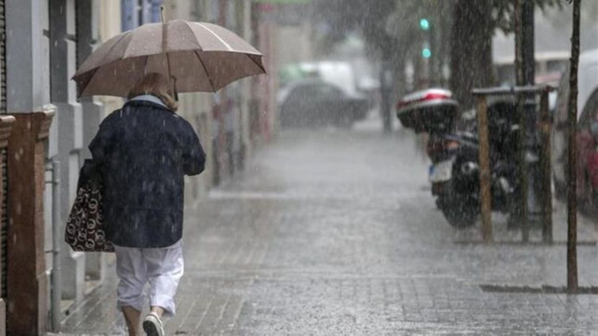 Una mujer se protege de la lluvia con un paraguas / EFE