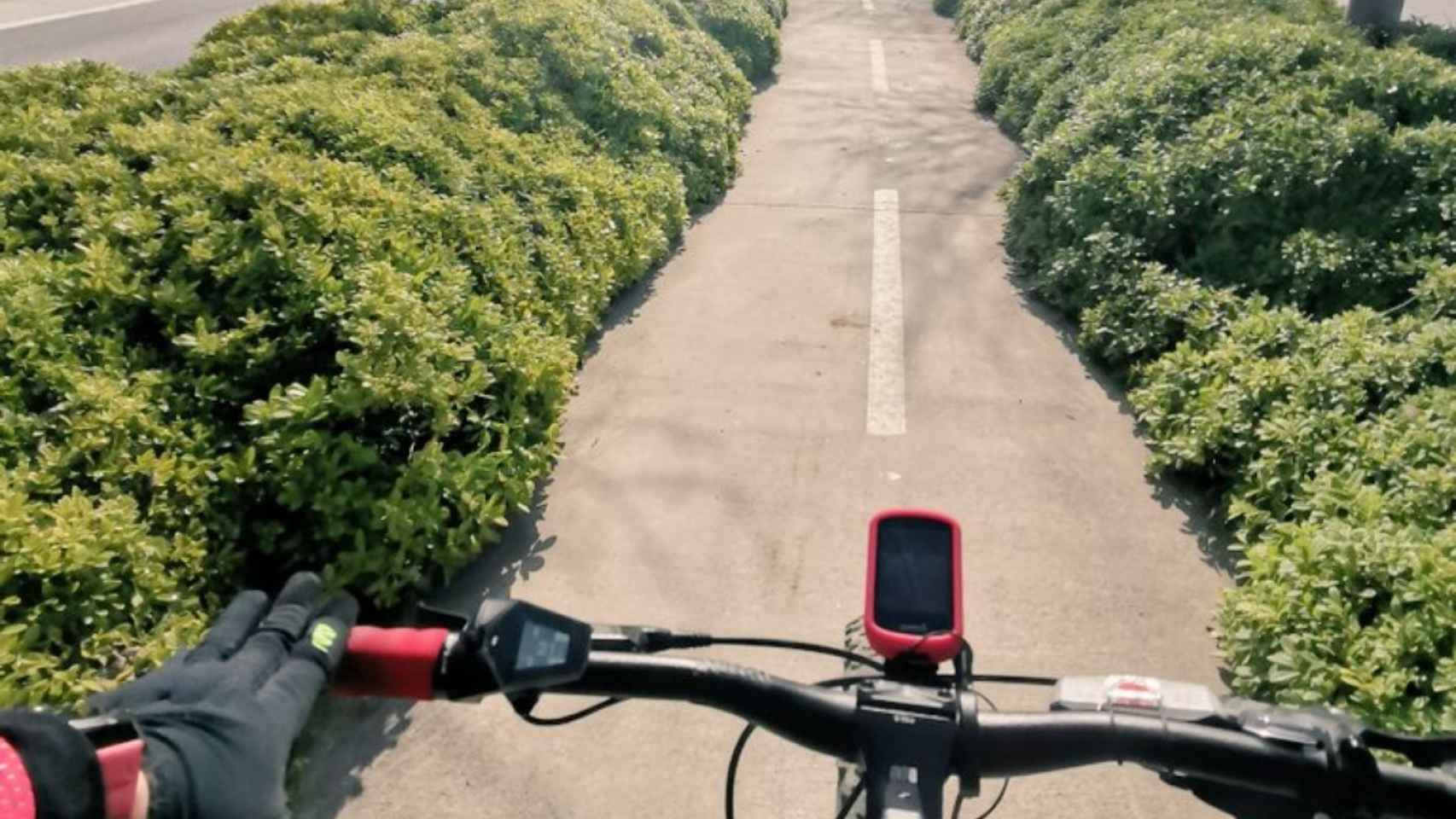 Carril bici en Cerdanyola del Vallès / TWITTER