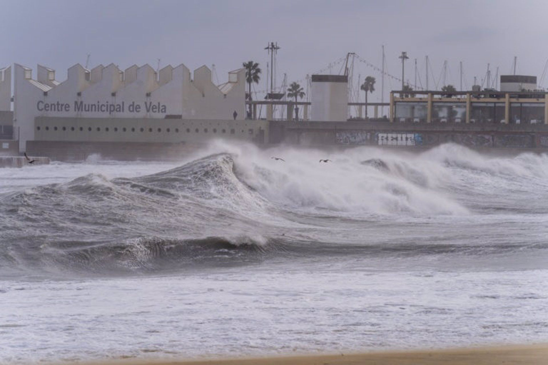 Imagen de archivo de un fuerte temporal marítimo en Barcelona / AYUNTAMIENTO DE BARCELONA