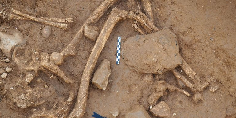 Restos encontrados durante los trabajos arqueológicos / ICUB