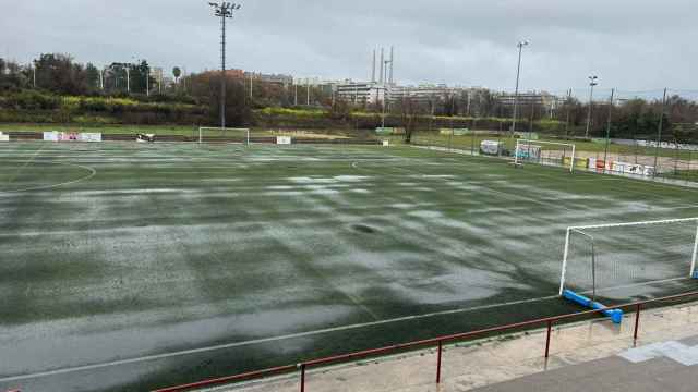 Césped del Campo Municipal Besòs / CEDIDA