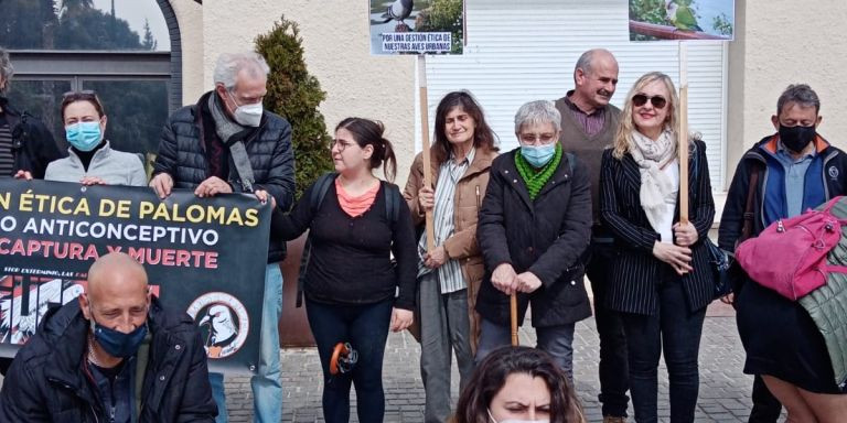Concentración de este domingo contra la matanza de palomas en Montgat / CEDIDA