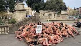 Manifestantes se desnudan en contra de las granjas peleteras / ANIMA NATURALIS