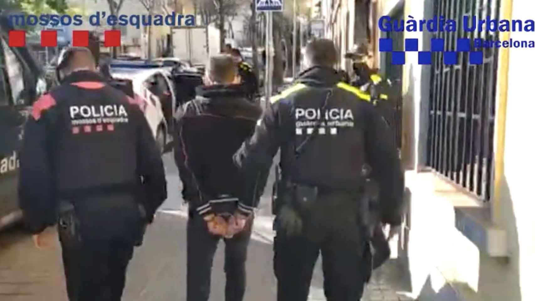 Detenido tras la intervención 500 plantas de marihuana en Barcelona / GUB