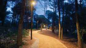 Un camino de un parque de Barcelona / EUROPA PRESS