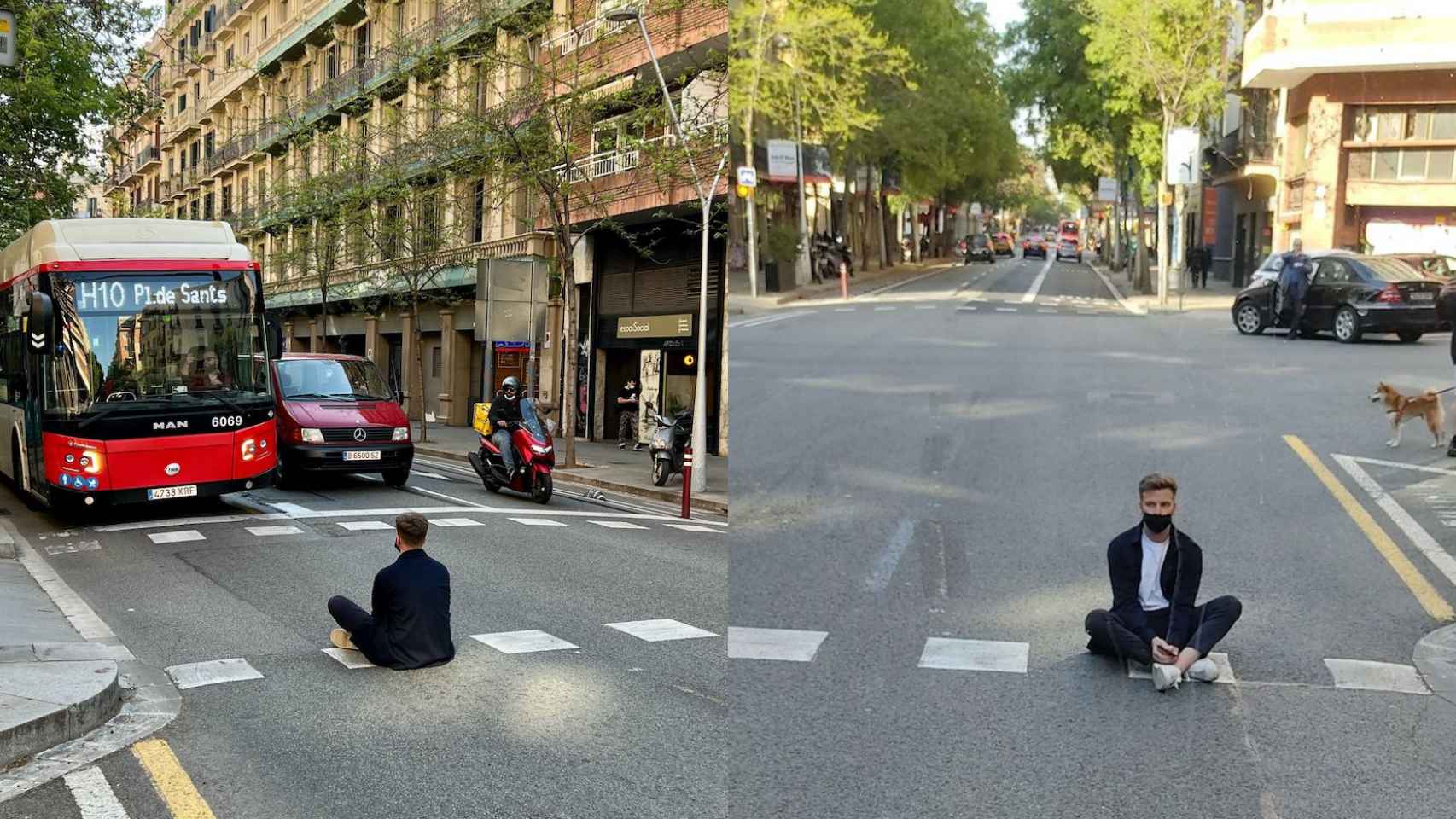 Pierde el bus y se sienta en medio de la calle Mallorca para cortarle el paso / REDES SOCIALES