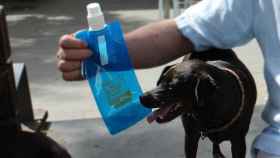 Un perro junto a una botella para limpiar sus orines / AYUNTAMIENTO DE BARCELONA