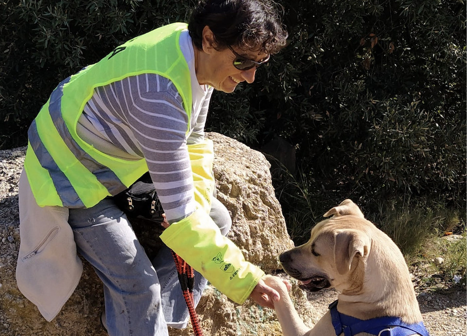 Un voluntario de la perrera municipal / AYUNTAMIENTO DE BARCELONA