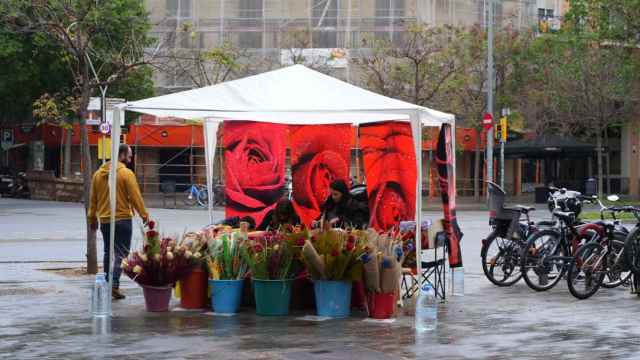 Una parada de venta de rosas inicia la jornada en la mañana de la 'diada' de Sant Jordi / Luis Miguel Añón