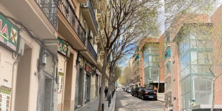 Árboles en la calle del Doctor Martí i Julià / AJ L'HOSPITALET