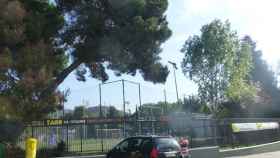 Exterior del campo de fútbol municipal de Horta donde ha caído un pino sobre el bar / GOOGLE MAPS