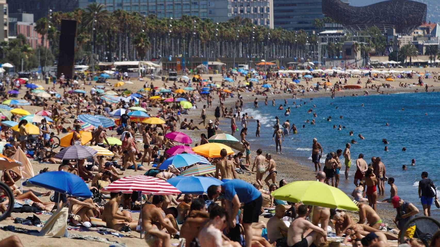 Una de las playas de Barcelona, llena de bañistas / EFE