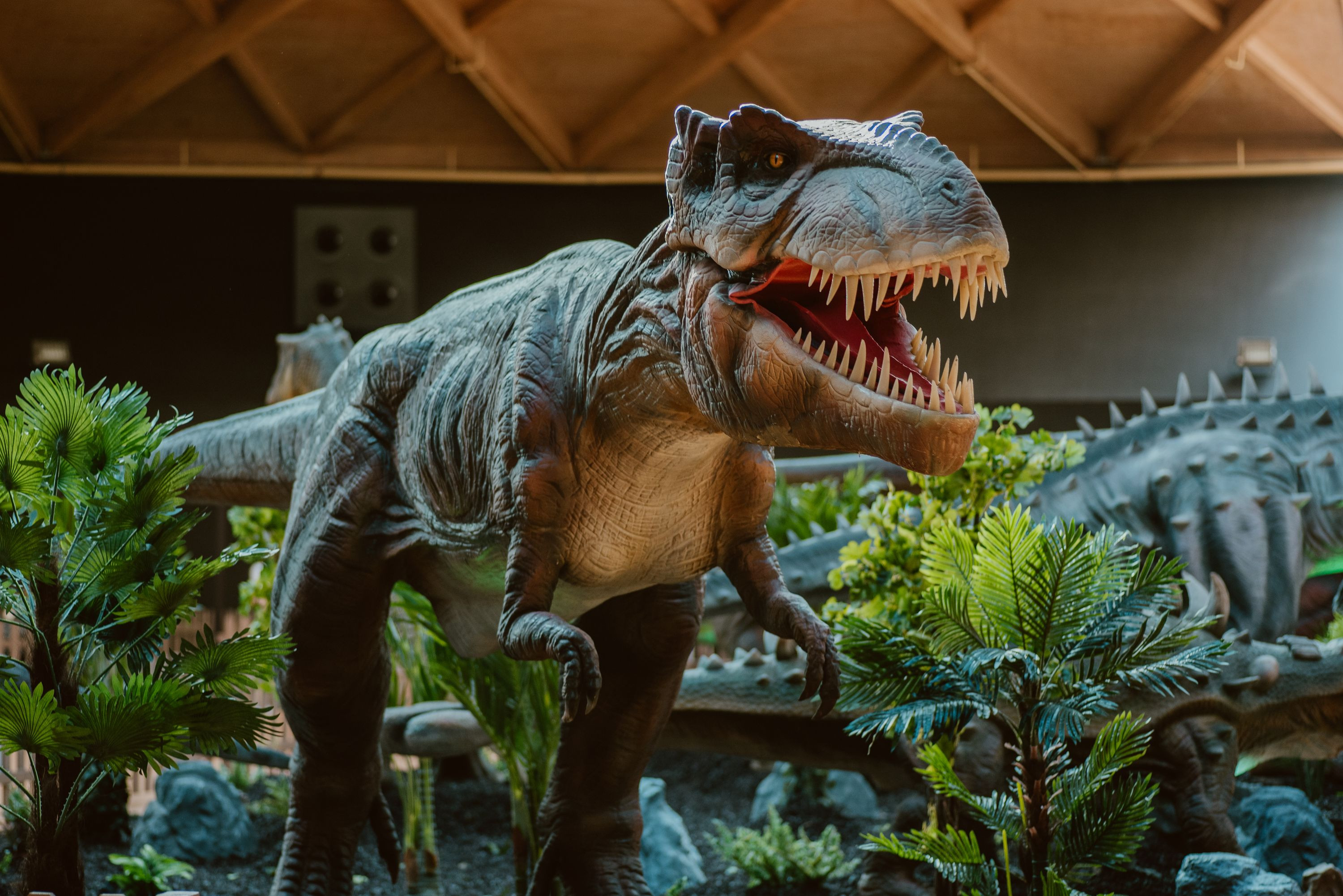 Imagen de archivo de un dinosaurio en un museo de Barcelona