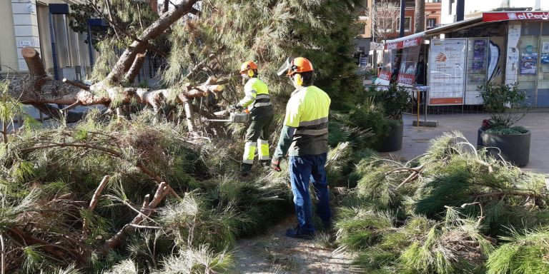 Operarios municipales cortan y retiran el árbol caído / AYUNTAMIENTO HOSPITALET