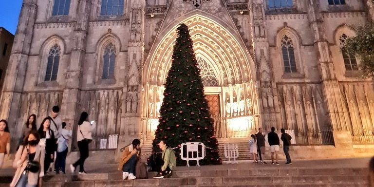 Un mercado navideño sorprende en la Catedral de Barcelona / TWITTER - SILVIA PARDO