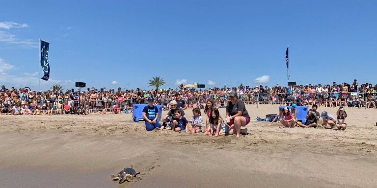 Liberación de una tortuga en El Prat de Llobregat / CRAM