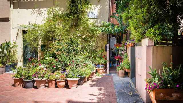 Flores que llenan el 'raconet' de Sant Gaietà / INMA SANTOS