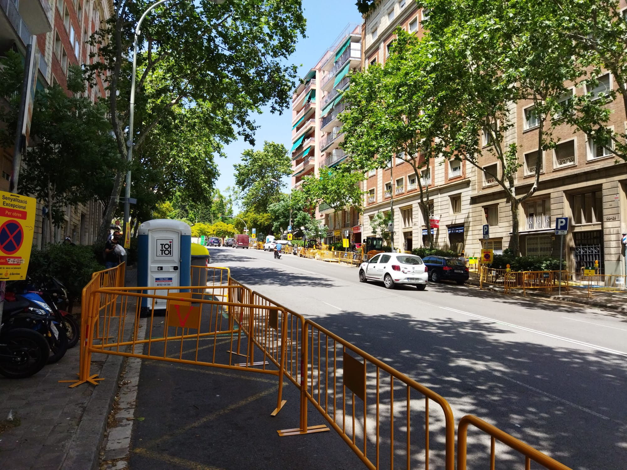 La calle de Pi i Margall, en obras, con algunos de sus frondosos árboles / METRÓPOLI - JORDI SUBIRANA