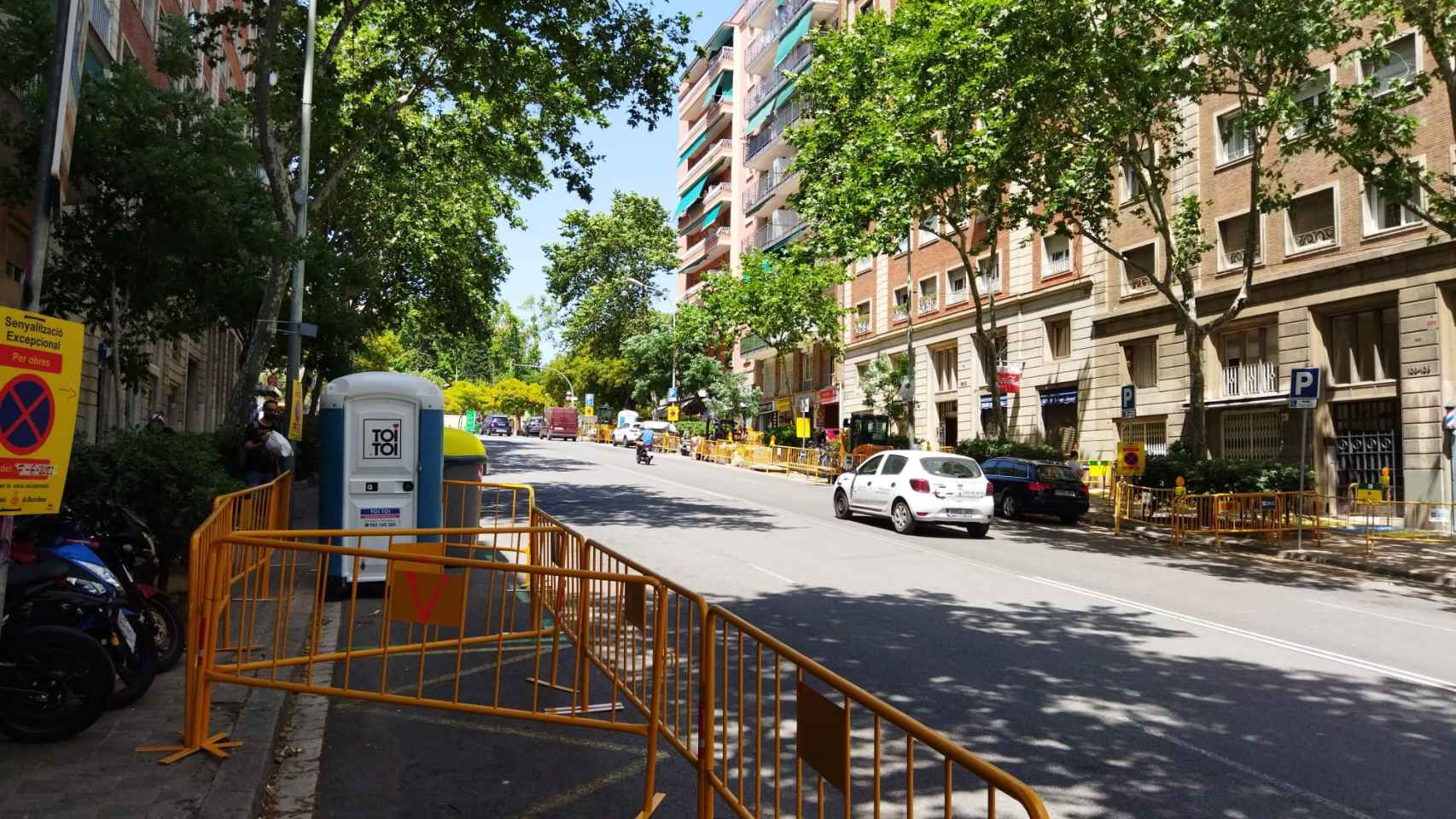 La calle de Pi i Margall, en obras, con algunos de sus frondosos árboles / METRÓPOLI - JORDI SUBIRANA
