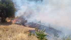 Incendio en el Parque de la Serralada de Marina, en Santa Coloma / XARXA DE PARCS NATURALS