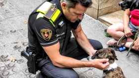 Un agente de la Guardia Urbana con una perra desaparecida / GUARDIA URBANA