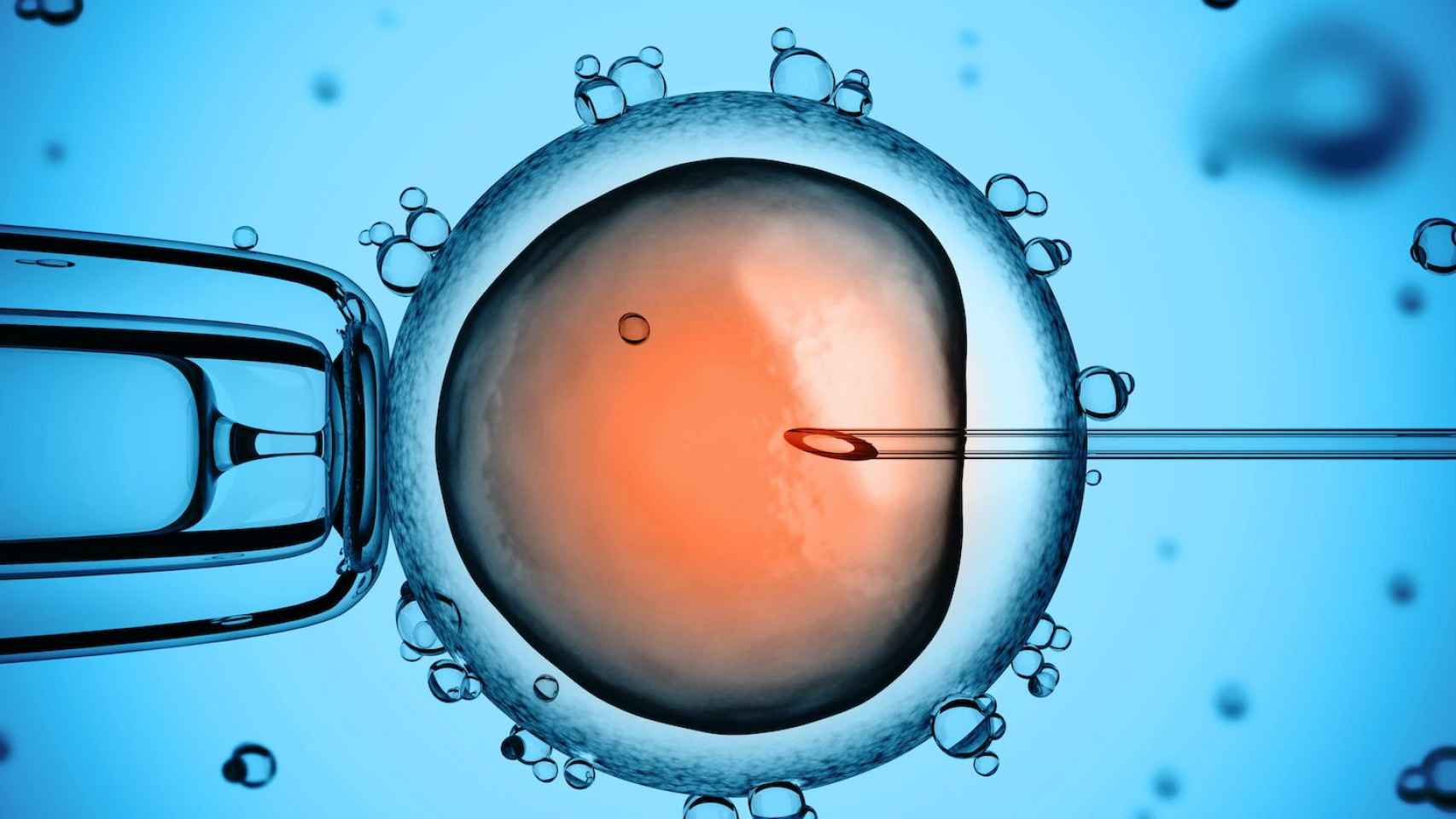 Recreación de la fertilización de una célula del óvulo: Ciencia y tecnología revolucionan la reproducción asistida / QUIRÓNSALUD (ST)
